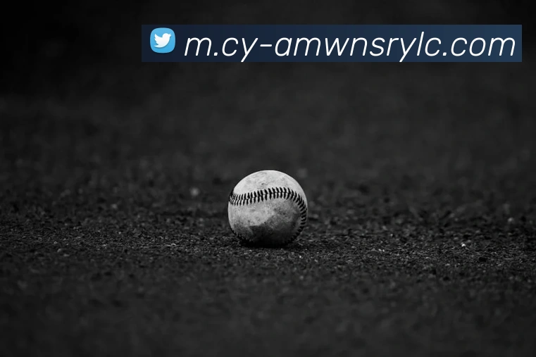 威尼斯人娱乐网站平台生态图